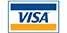 visa-payment